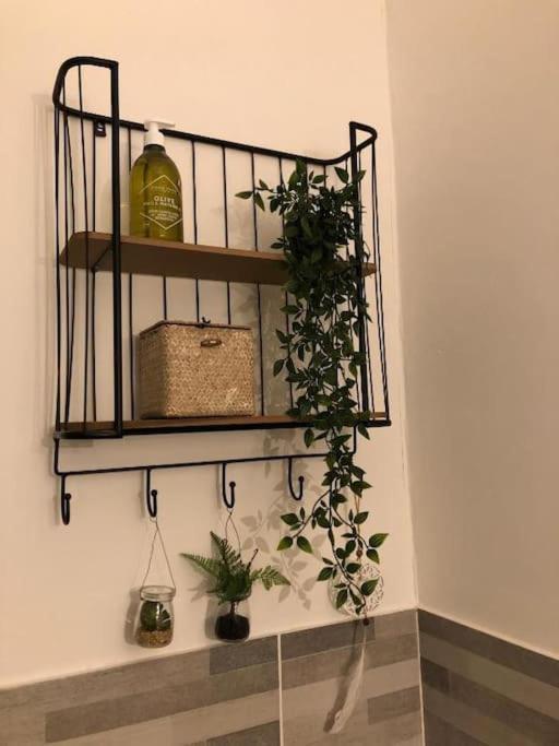Studio Au Pied De La Cite Carcassonne Ngoại thất bức ảnh